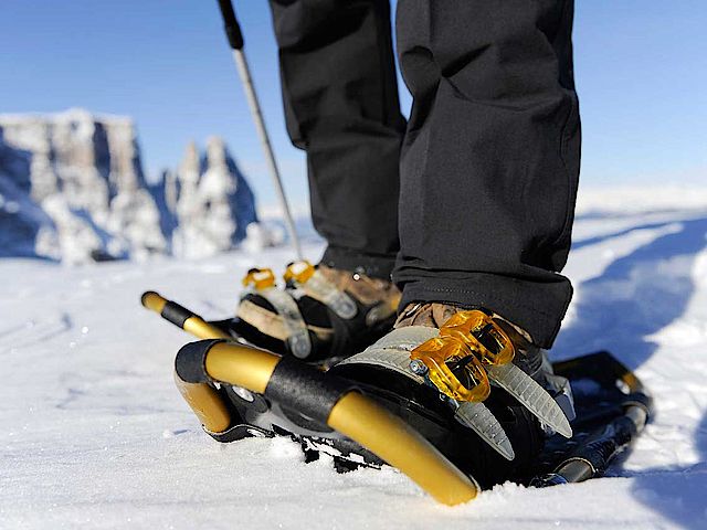 Guided snow shoe excursions Alpe di Siusi